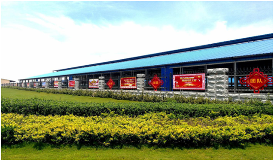 “ 看听谈查 ”板 找短板  党建巡查促提升——XK(中国)一站式服务平台集团党委开展基层党建工作巡查