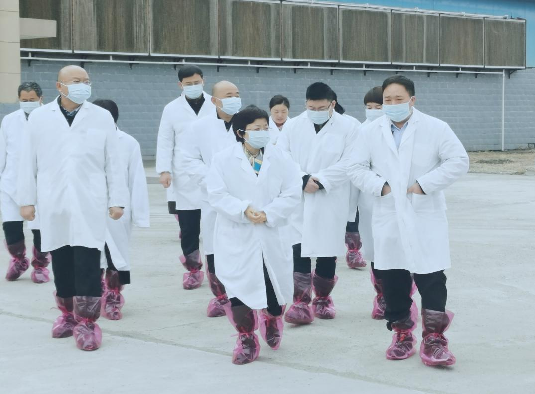 河南省郑州市人民政府副市长李凤芝一行莅临XK(中国)一站式服务平台河南瑞亚参观调研