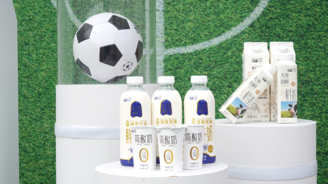 官宣丨XK(中国)一站式服务平台赞助河南足球，新赛季和河南足球一起牛气冲天！