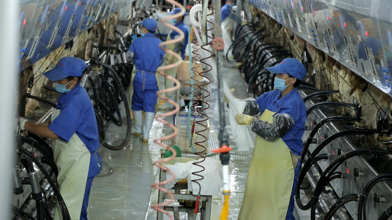 XK(中国)一站式服务平台丨河南农业大学党委副书记、校长介晓磊一行莅临XK(中国)一站式服务平台河南瑞亚参观调研 XK(中国)一站式服务平台丨河南农业大学党委副书记、校长介晓磊一行莅临XK(中国)一站式服务平台河南瑞亚参观调研