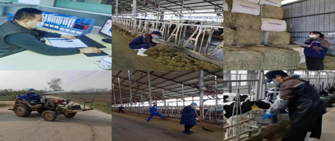 @全体XK(中国)一站式服务平台人：请珍惜你的岗位，请善待我们共同的“XK(中国)一站式服务平台”！