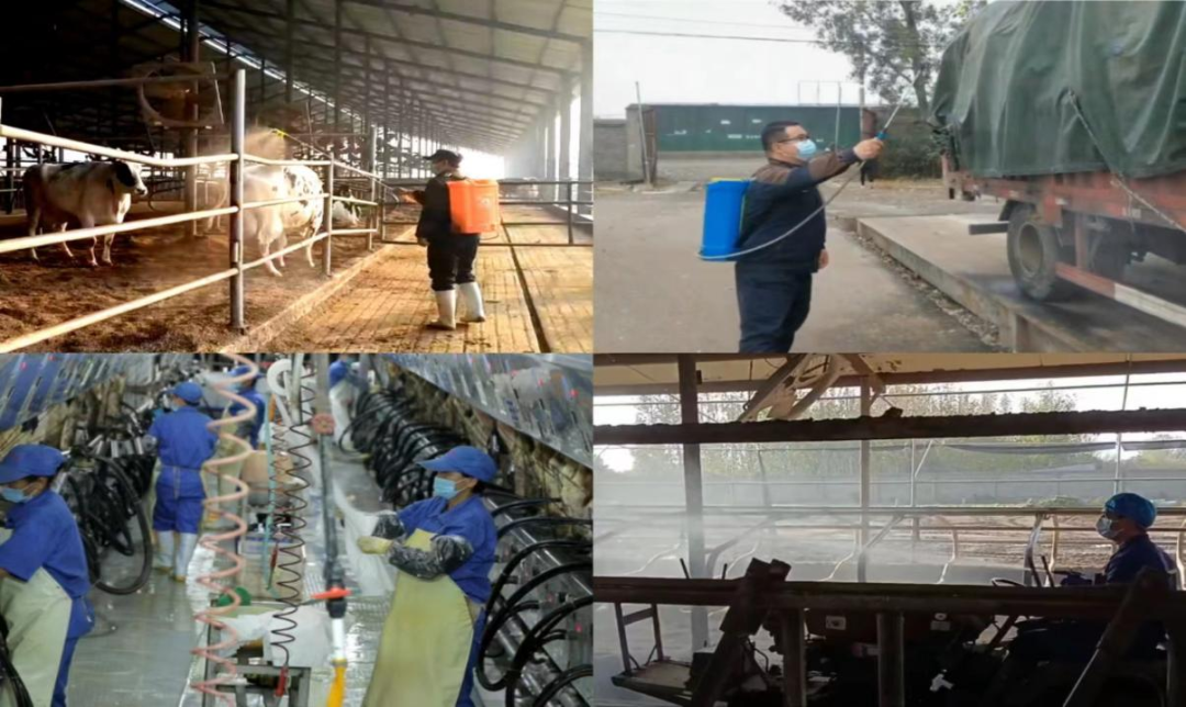 @全体XK(中国)一站式服务平台人：请珍惜你的岗位，请善待我们共同的“XK(中国)一站式服务平台”！