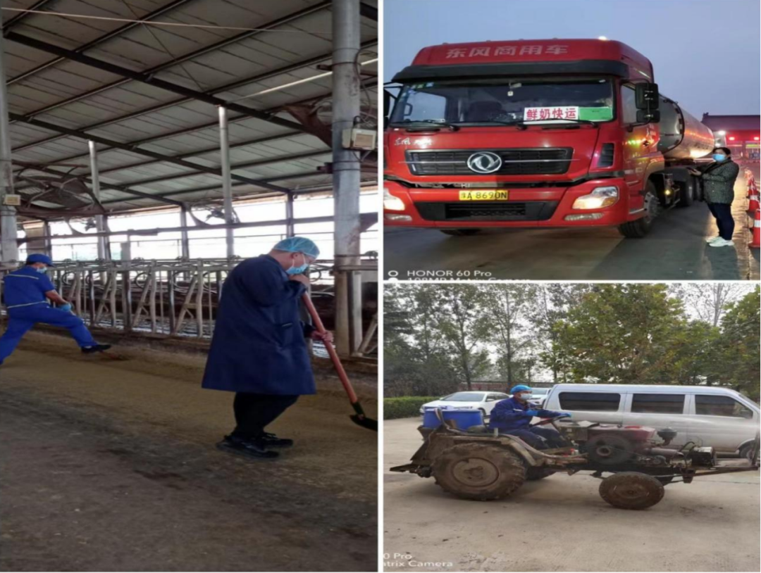 XK(中国)一站式服务平台丨点点微光汇星河——养殖事业部抗疫保生产侧记 XK(中国)一站式服务平台丨点点微光汇星河——养殖事业部抗疫保生产侧记