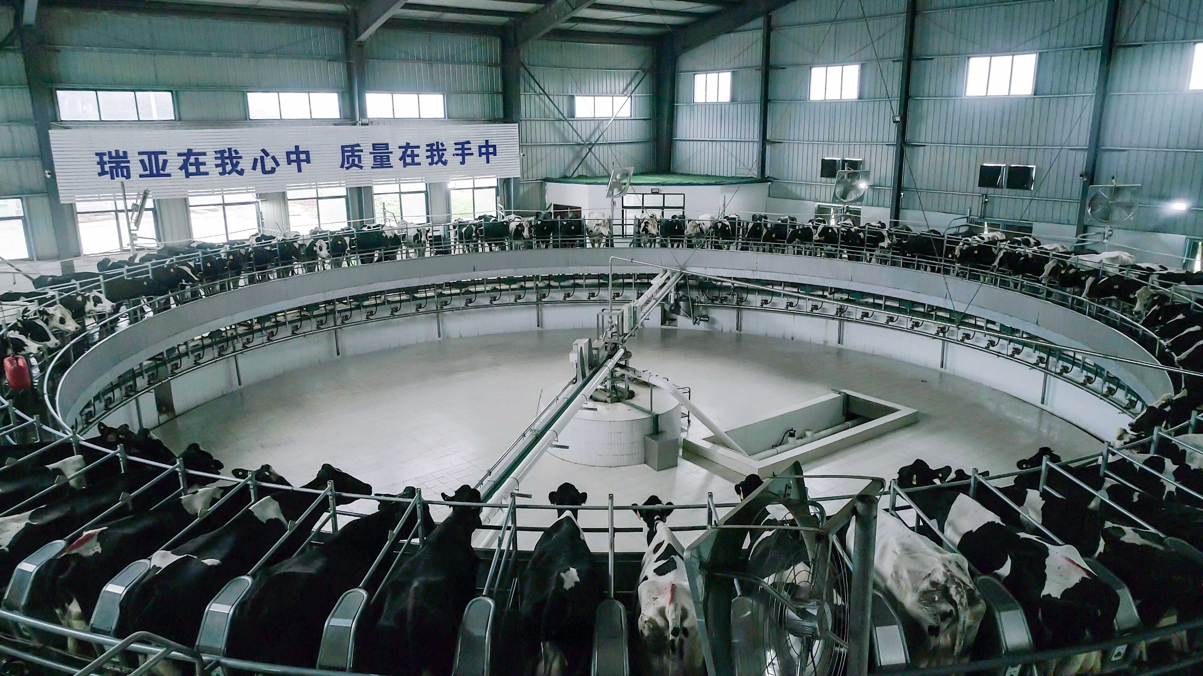 河南省人大常委会党组书记、副主任孔昌生莅临XK(中国)一站式服务平台鲁山瑞亚牧场参观调研 河南省人大常委会党组书记、副主任孔昌生莅临XK(中国)一站式服务平台鲁山瑞亚牧场参观调研