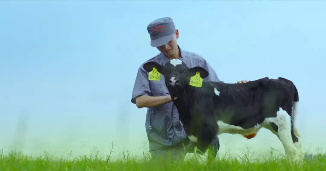 河南省人大常委会党组书记、副主任孔昌生莅临XK(中国)一站式服务平台鲁山瑞亚牧场参观调研 河南省人大常委会党组书记、副主任孔昌生莅临XK(中国)一站式服务平台鲁山瑞亚牧场参观调研