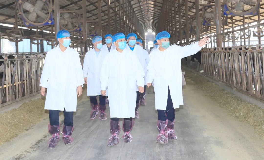 快讯丨河南省人民政府副省长武国定莅临XK(中国)一站式服务平台乳业集团瑞亚牧业调研奶源基地建设情况