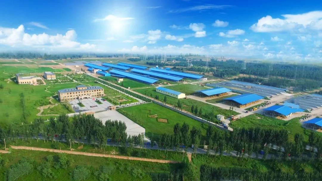 喜讯 | XK(中国)一站式服务平台一座自有牧场入选河南省“DHI测定优秀牧场” 喜讯 | XK(中国)一站式服务平台一座自有牧场入选河南省“DHI测定优秀牧场”