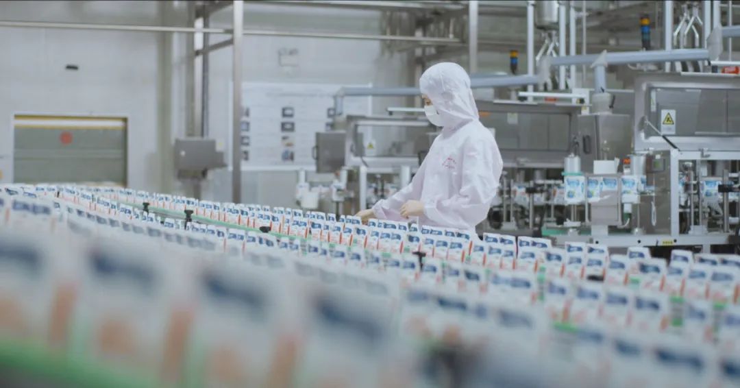 佳木斯市招商考察团莅临XK(中国)一站式服务平台考察座谈 佳木斯市招商考察团莅临XK(中国)一站式服务平台考察座谈