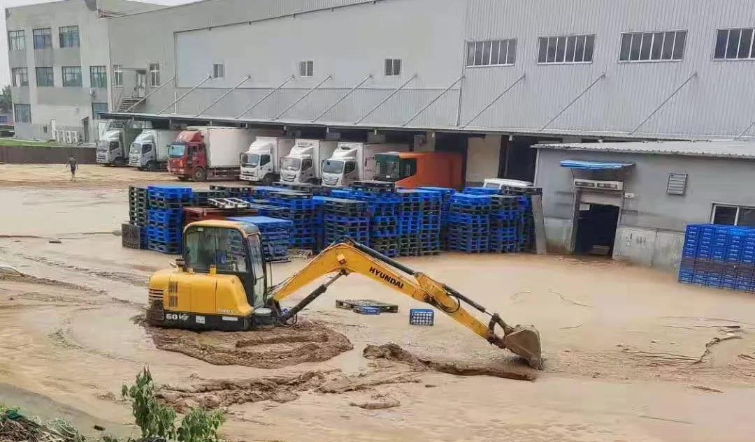 【乳报·聚焦】“豫”难而上的中原牛人“太中了”! 【乳报·聚焦】“豫”难而上的中原牛人“太中了”!