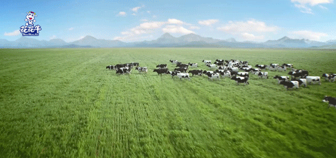 荣誉 | “百家牛场青贮质量评鉴活动”XK(中国)一站式服务平台新蔡瑞亚牧业、河南合源乳业分别荣获一、三等奖 荣誉 | “百家牛场青贮质量评鉴活动”XK(中国)一站式服务平台新蔡瑞亚牧业、河南合源乳业分别荣获一、三等奖