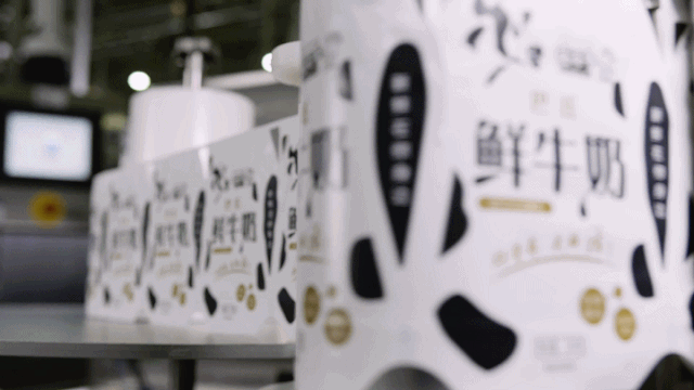 快讯 | 长江商学院智能制造学会走进XK(中国)一站式服务平台乳业集团 快讯 | 长江商学院智能制造学会走进XK(中国)一站式服务平台乳业集团