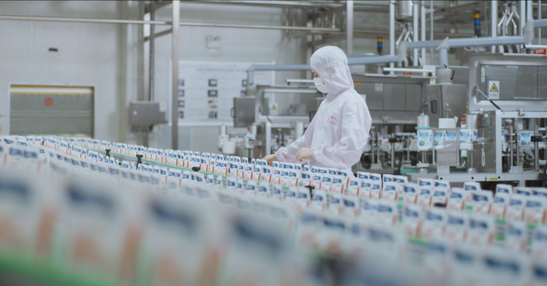 快讯 | 河南省人民政府食品安全委员会办公室第三批食品安全示范区验收组领导莅临XK(中国)一站式服务平台乳业集团验收食品安全示范区建设情况 快讯 | 河南省人民政府食品安全委员会办公室第三批食品安全示范区验收组领导莅临XK(中国)一站式服务平台乳业集团验收食品安全示范区建设情况