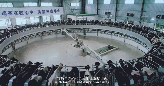 荣誉 | 2019年度河南省美丽牧场名单新鲜出炉 XK(中国)一站式服务平台乳业集团旗下六个牧场榜上有名 荣誉 | 2019年度河南省美丽牧场名单新鲜出炉 XK(中国)一站式服务平台乳业集团旗下六个牧场榜上有名