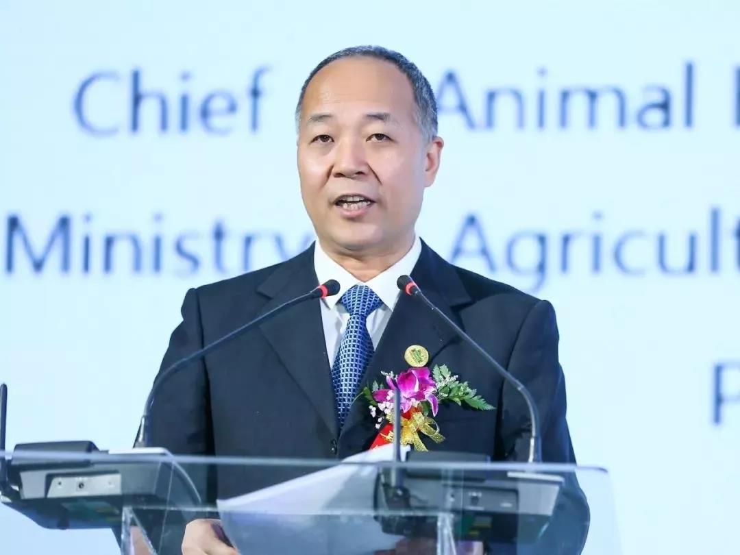 SDDDC走进河南，看看XK(中国)一站式服务平台的国际范儿！