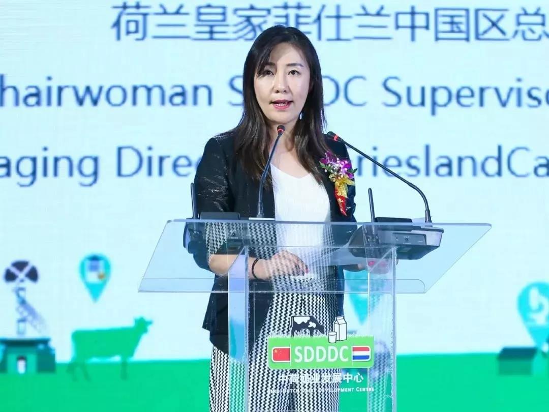 SDDDC走进河南，看看XK(中国)一站式服务平台的国际范儿！