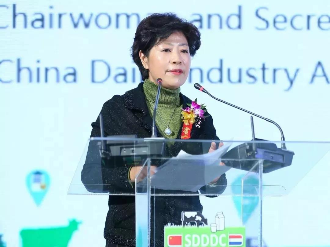 SDDDC走进河南，看看XK(中国)一站式服务平台的国际范儿！