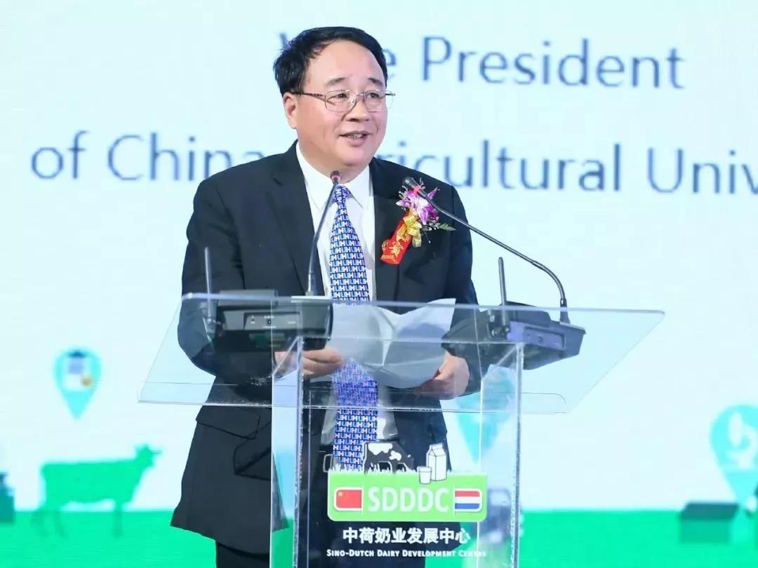 SDDDC走进河南，看看XK(中国)一站式服务平台的国际范儿！