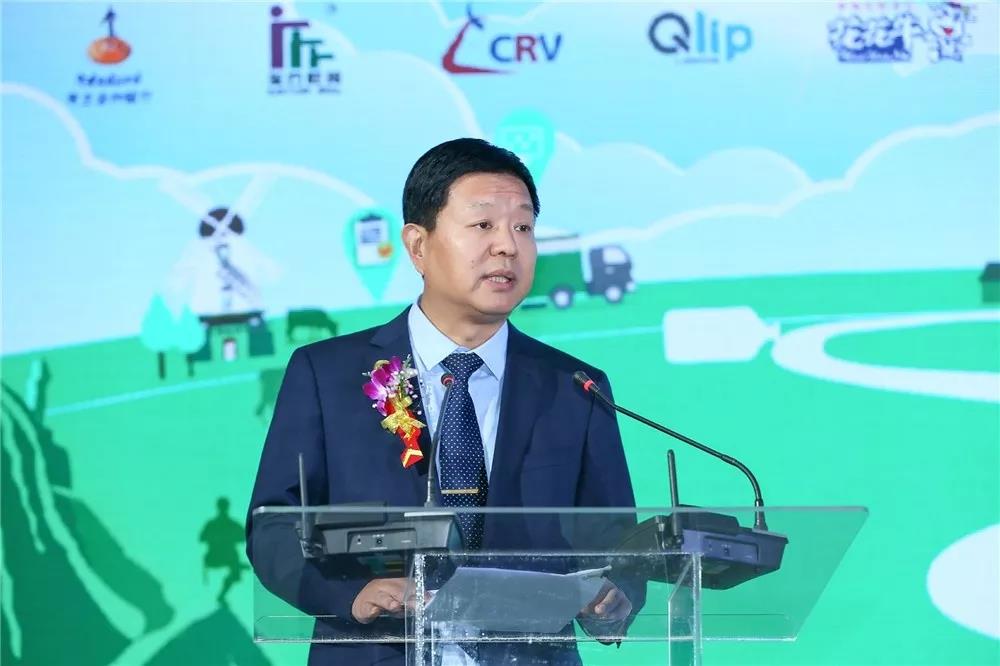 SDDDC走进河南，看看XK(中国)一站式服务平台的国际范儿！