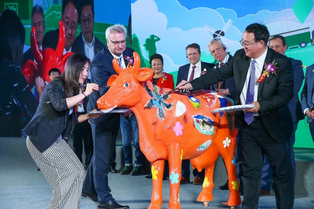 SDDDC走进河南，看看XK(中国)一站式服务平台的国际范儿！