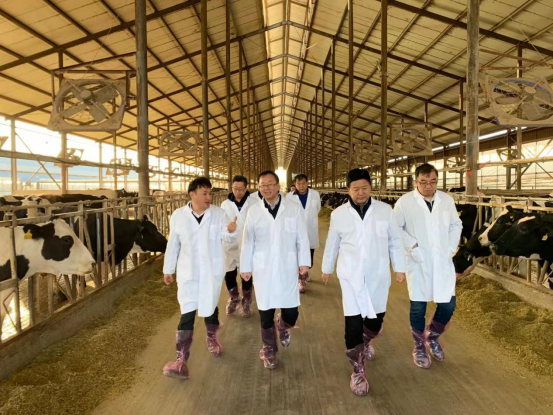 宁夏回族自治区农业农村厅党组书记、厅长王刚一行莅临XK(中国)一站式服务平台乳业集团调研 宁夏回族自治区农业农村厅党组书记、厅长王刚一行莅临XK(中国)一站式服务平台乳业集团调研