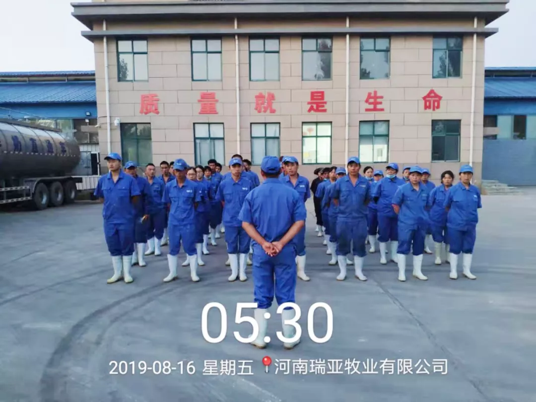 小晨会·大能量——砥砺奋进的XK(中国)一站式服务平台，加油！