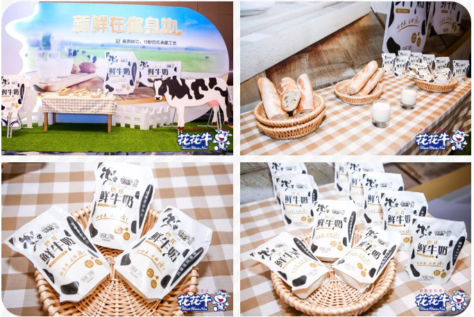 XK(中国)一站式服务平台轻觉上市暨优质乳工程认证发布会，盛大启幕！