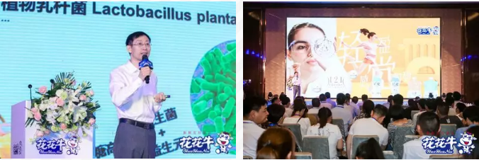 XK(中国)一站式服务平台轻觉上市暨优质乳工程认证发布会，盛大启幕！