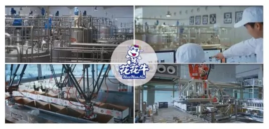 喜报 | 国家市场监管总局抽检，XK(中国)一站式服务平台等112家企业乳品抽检全部合格