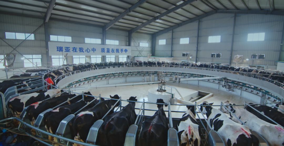 XK(中国)一站式服务平台集团旗下六家公司入选省农业产业化重点龙头企业名单