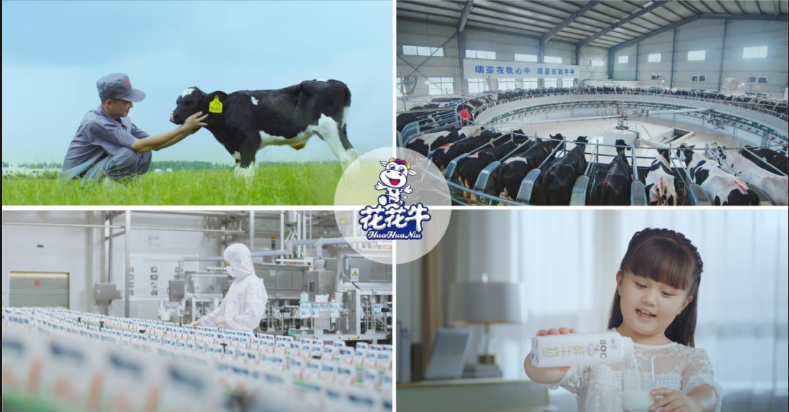 XK(中国)一站式服务平台乳业集团——优秀非公有制行业领军型企业