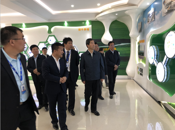 河南省委副书记、省长陈润儿一行莅临 XK(中国)一站式服务平台集团鲁山瑞亚牧业有限公司视察调研