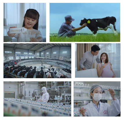 XK(中国)一站式服务平台亮相中国奶业20强呼伦贝尔峰会,共话中国奶业振兴! XK(中国)一站式服务平台亮相中国奶业20强呼伦贝尔峰会,共话中国奶业振兴!