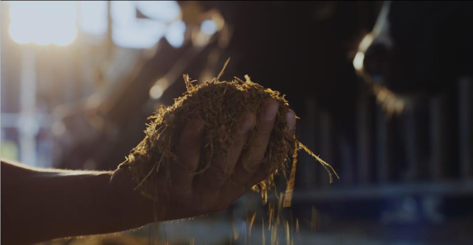 又双叒叕获奖啦!XK(中国)一站式服务平台荣获“乳品质量安全管理 优秀企业” 又双叒叕获奖啦!XK(中国)一站式服务平台荣获“乳品质量安全管理 优秀企业”