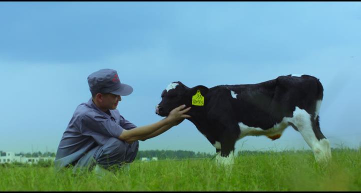 又双叒叕获奖啦!XK(中国)一站式服务平台荣获“乳品质量安全管理 优秀企业” 又双叒叕获奖啦!XK(中国)一站式服务平台荣获“乳品质量安全管理 优秀企业”