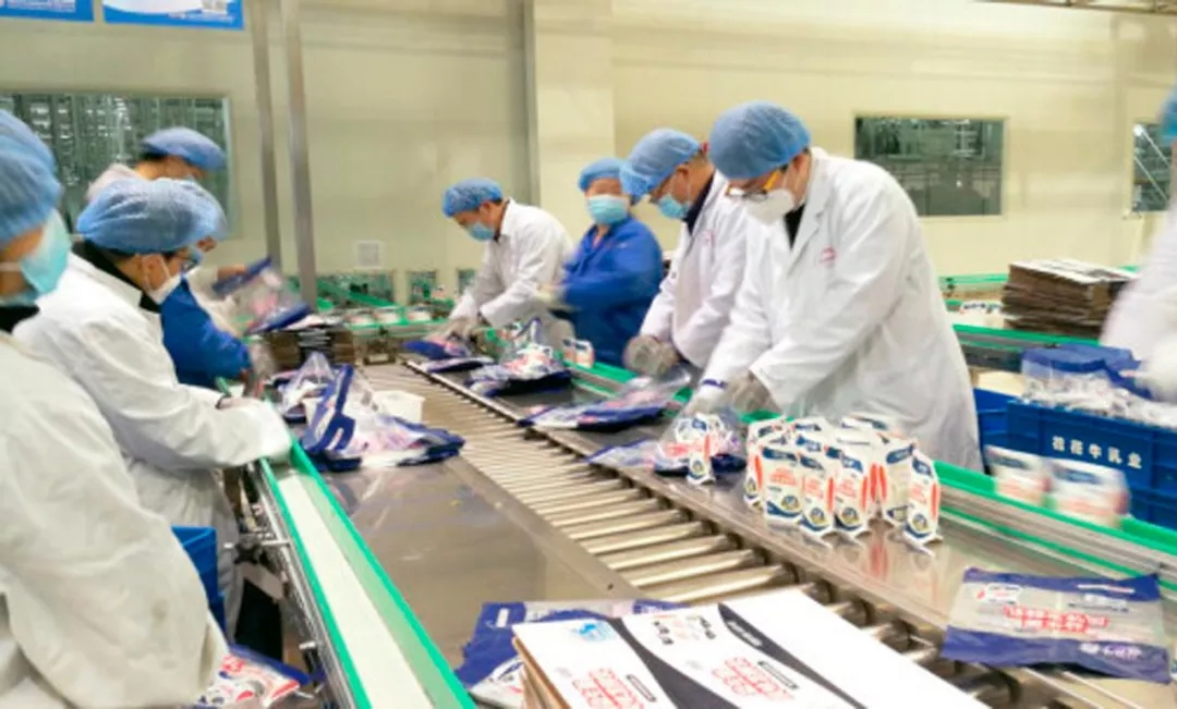 快讯丨河南省副省长武国定莅临XK(中国)一站式服务平台乳业集团调研重点保障企业复工复产情况