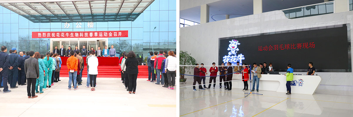 河南XK(中国)一站式服务平台生物科技有限公司举办2016年春季运动会