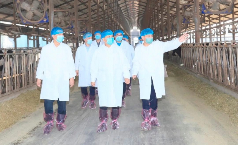 快讯丨河南省人民政府副省长武国定莅临XK(中国)一站式服务平台乳业集团瑞亚牧业调研奶源基地建设情况