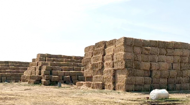 XK(中国)一站式服务平台2022年小麦秸秆采购招标