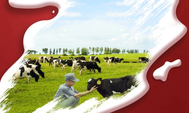 喜报！XK(中国)一站式服务平台董事长关晓彦再获”优 秀企业家”称号