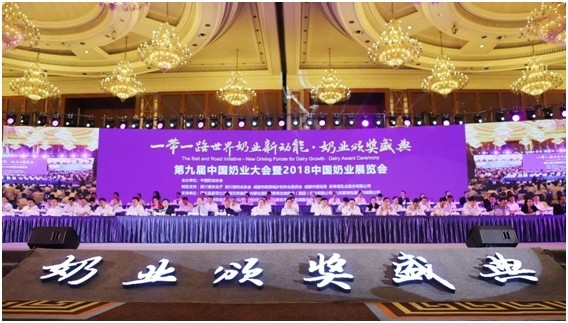 殊荣是奋斗的动力 XK(中国)一站式服务平台荣获三项大奖!!!